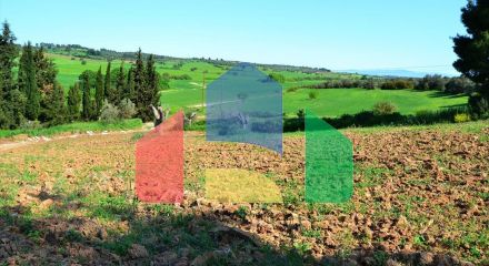 For Sale - Land 4000 m² in Kassandra, Chalkidiki
