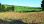 For Sale - Land 4000 m² in Kassandra, Chalkidiki
