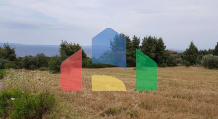 Продажа - Земельный участок 9500 m² на Кассандре (Халкидики)