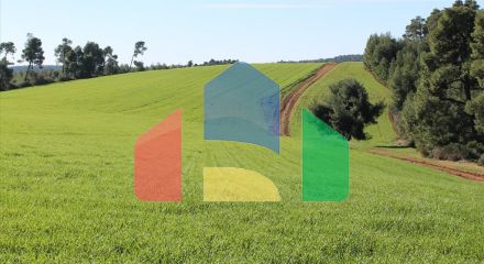 Продаж - Земельна ділянка 103500 m² на Кассандрі (Халкідіки)
