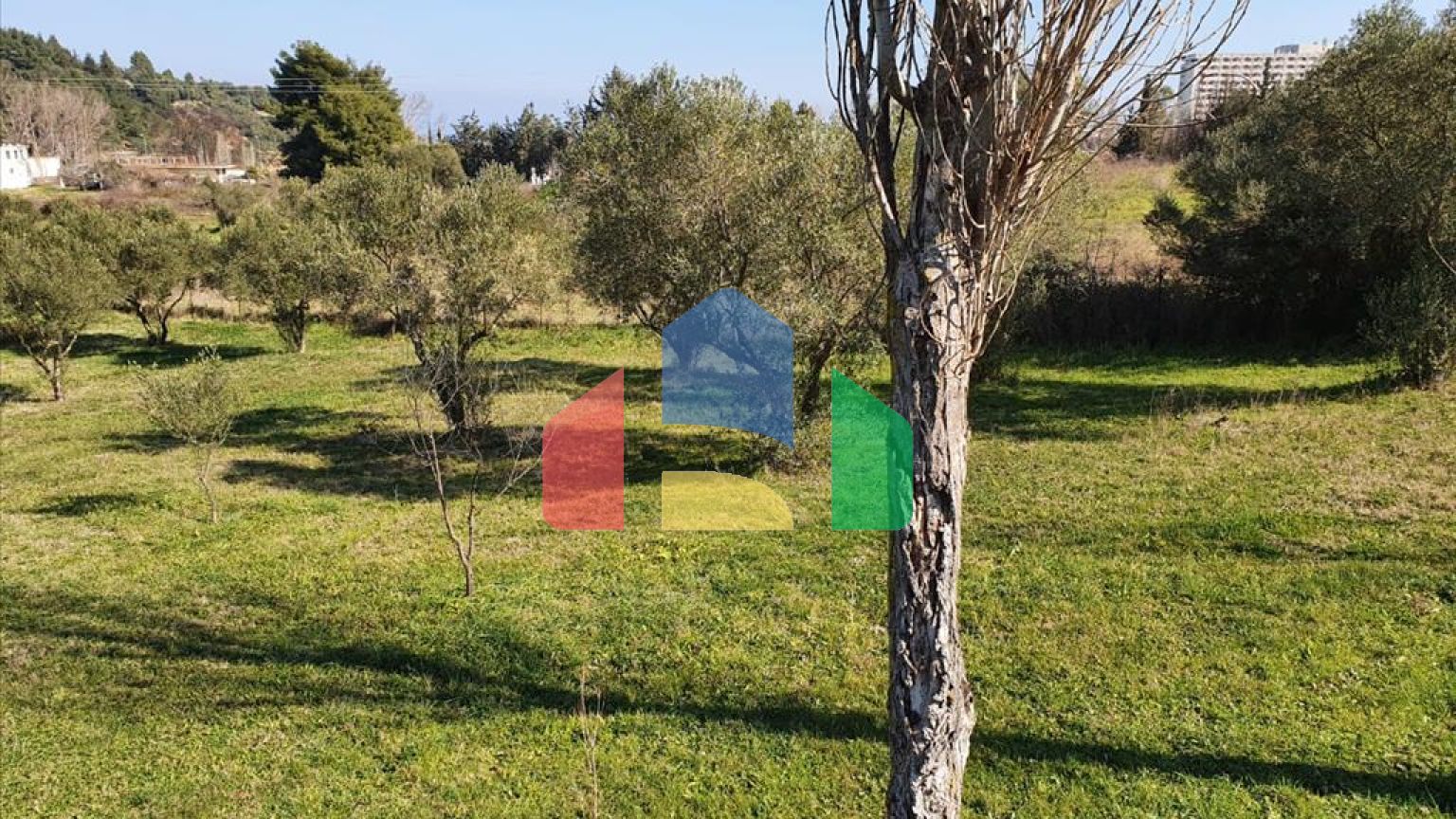 Продаж - Готель 310 m² на Кассандрі (Халкідіки)