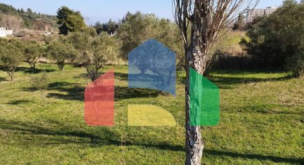 Продаж - Готель 310 m² на Кассандрі (Халкідіки)