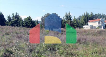 Продаж - Земельна ділянка 22500 m² на Кассандрі (Халкідіки)
