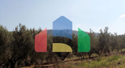 Продаж - Земельна ділянка 22500 m² на Кассандрі (Халкідіки)