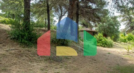 Продажа - Вилла 360 m² на Кассандре (Халкидики)