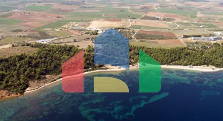Продажа - Земельный участок 30000 m² на Кассандре (Халкидики)
