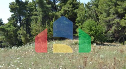 Продажа - Земельный участок 10000 m² на Кассандре (Халкидики)