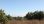 For Sale - Land 4286 m² in Kassandra, Chalkidiki