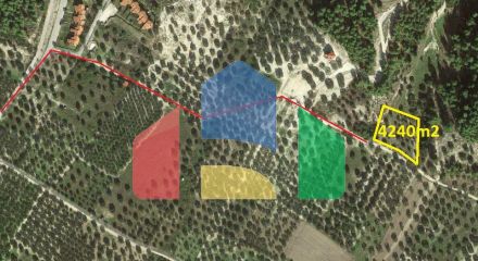 For Sale - Land 4240 m² in Kassandra, Chalkidiki