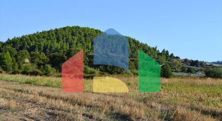 Продаж - Земельна ділянка 4000 m² на Кассандрі (Халкідіки)
