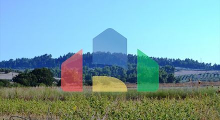 Продаж - Земельна ділянка 4000 m² на Кассандрі (Халкідіки)