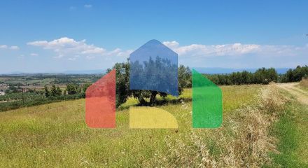 For Sale - Land 10125 m² in Kassandra, Chalkidiki