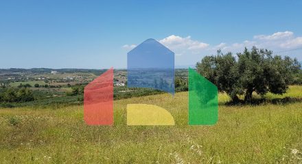 For Sale - Land 10125 m² in Kassandra, Chalkidiki