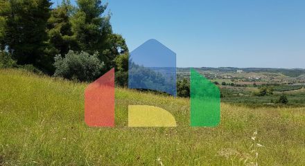 For Sale - Land 10125 m² in Kassandra, Chalkidiki