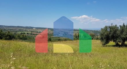 For Sale - Land 10125 m² in Kassandra, Chalkidiki