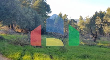For Sale - Land 2123 m² in Kassandra, Chalkidiki