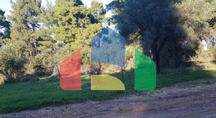 For Sale - Land 2123 m² in Kassandra, Chalkidiki