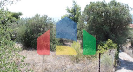 For Sale - Land 1120 m² in Kassandra, Chalkidiki