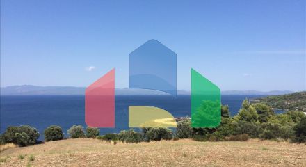 For Sale - Land 10170 m² in Kassandra, Chalkidiki