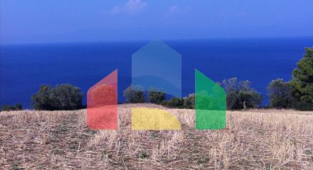 For Sale - Land 10170 m² in Kassandra, Chalkidiki