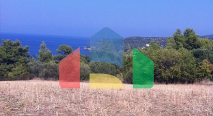 For Sale - Land 10170 m² in Kassandra, Chalkidiki