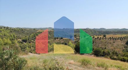 Продаж - Земельна ділянка 13000 m² на Кассандрі (Халкідіки)