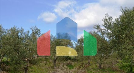 Продажа - Земельный участок 3600 m² на Кассандре (Халкидики)