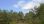 Продажа - Земельный участок 3600 m² на Кассандре (Халкидики)