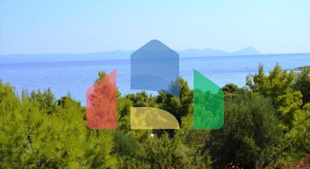 Продажа - Земельный участок 15500 m² на Кассандре (Халкидики) Продажа - Земельный участок 15500 m² на Кассандре (Халкидики)