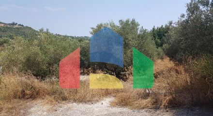 Продаж - Земельна ділянка 2000 m² на Кассандрі (Халкідіки) Продаж - Земельна ділянка 2000 m² на Кассандрі (Халкідіки)