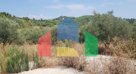 Продаж - Земельна ділянка 2000 m² на Кассандрі (Халкідіки) Продаж - Земельна ділянка 2000 m² на Кассандрі (Халкідіки)