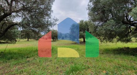 For Sale - Land 10000 m² in Kassandra, Chalkidiki