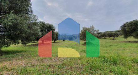 For Sale - Land 10000 m² in Kassandra, Chalkidiki