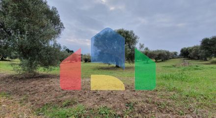 For Sale - Land 10000 m² in Kassandra, Chalkidiki