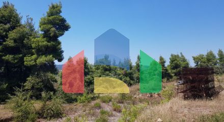 Продажа - Земельный участок 11000 m² на Кассандре (Халкидики)