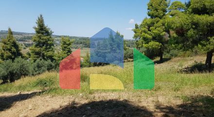 Продажа - Земельный участок 11000 m² на Кассандре (Халкидики)