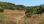 For Sale - Land 10250 m² in Kassandra, Chalkidiki