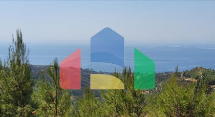 Продаж - Земельна ділянка 15000 m² на Кассандрі (Халкідіки)