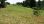 For Sale - Land 6500 m² in Kassandra, Chalkidiki