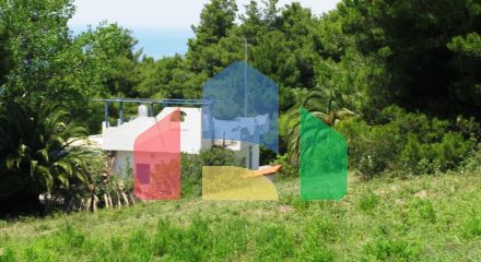 For Sale - Land 6500 m² in Kassandra, Chalkidiki