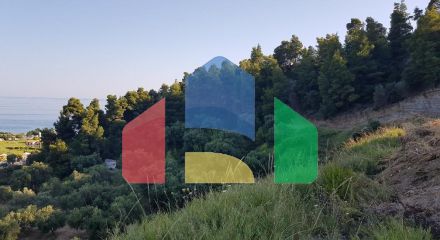 For Sale - Land 4300 m² in Kassandra, Chalkidiki