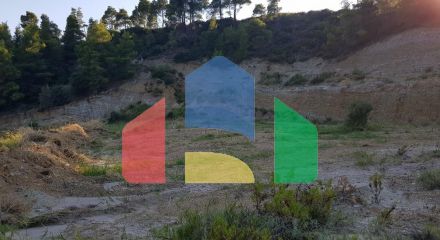 For Sale - Land 4300 m² in Kassandra, Chalkidiki