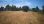 For Sale - Land 4300 m² in Kassandra, Chalkidiki
