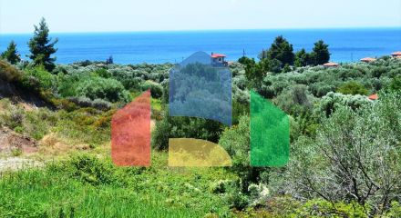 For Sale - Land 8000 m² in Kassandra, Chalkidiki