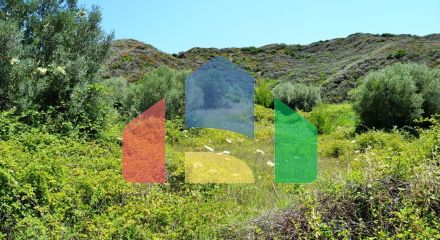 For Sale - Land 8000 m² in Kassandra, Chalkidiki