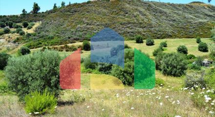 For Sale - Land 8000 m² in Kassandra, Chalkidiki
