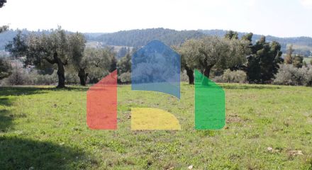 For Sale - Land 6400 m² in Kassandra, Chalkidiki