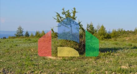 Продажа - Земельный участок 15400 m² на Кассандре (Халкидики)