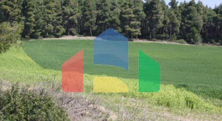Продаж - Земельна ділянка 8500 m² на Кассандрі (Халкідіки)