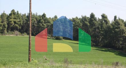 Продаж - Земельна ділянка 8500 m² на Кассандрі (Халкідіки)